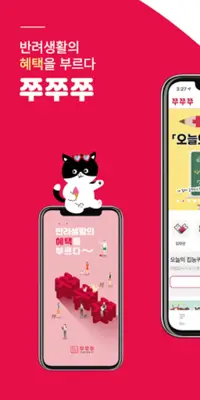 쭈쭈쭈 반려생활의 혜택을 부르다 android App screenshot 5